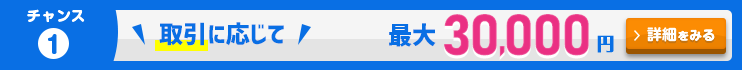 取引に応じて最大30,000円キャッシュバックキャンペーン