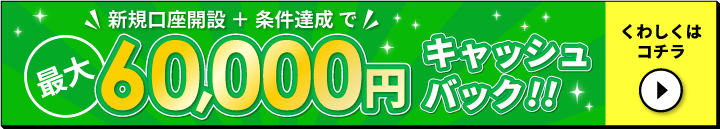 最大60,000円キャッシュバック