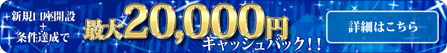 最大20,000円 キャッシュバック